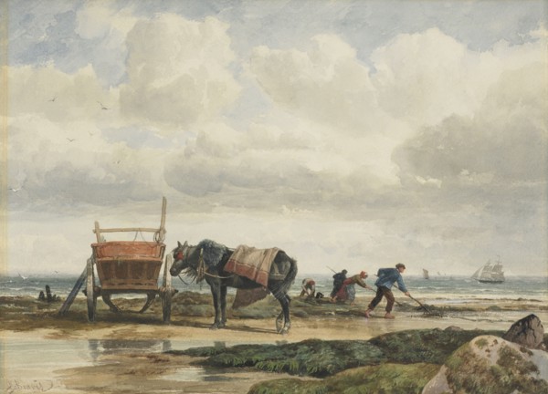 Gathering seaweed, 1860s-1880s. Creator: Richard Beavis.