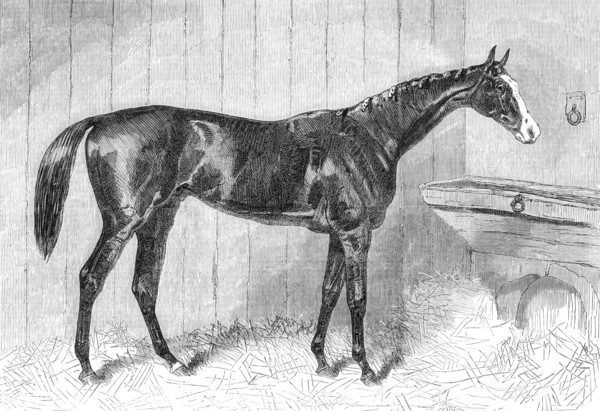 Blair Athol, the Winner of the Derby, 1864. Creator: Unknown.