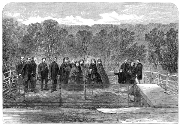 Her Majesty the Queen planting the "Prince Consort's Oak" in Windsor Great Park, 1862. Creator: Unknown.