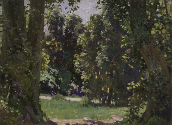 Peel Forest, c1920s. Creator: Archibald Frank Nicoll.