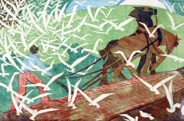 Birds following a plough, 1933. Creator: Ethel Louise Spowers.