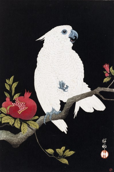 Cockatoo and pomegranate, 1930. Creator: Ohara Koson.