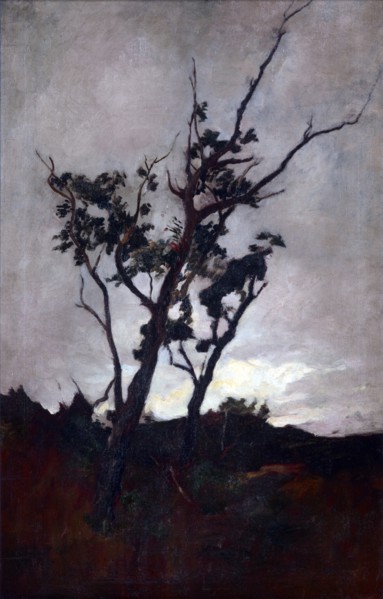 Tree study,  c1893-98. Creator: Petrus van der Velden.