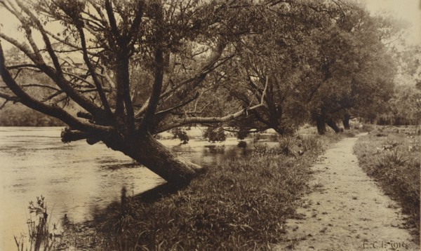 By the Waikato, 1916. Creator: ECI.