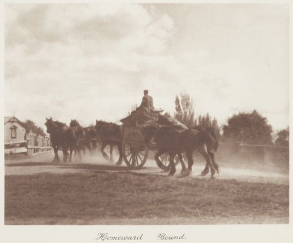 Homeward bound. From the album: Camera Pictures of New Zealand, 1920s. Creator: Harry Moult.