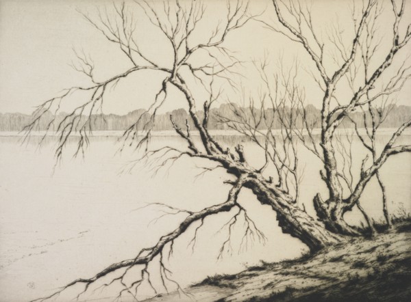 The lake, 1941. Creator: Martin Hardie.