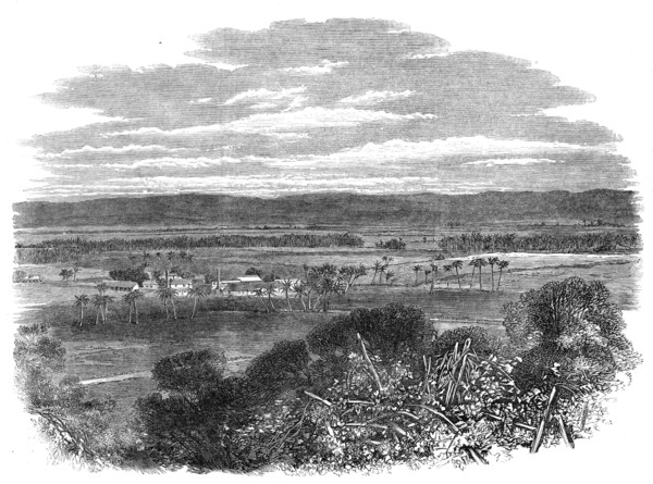 The Hordley Estate, Morant Bay, Jamaica, 1865. Creator: Unknown.