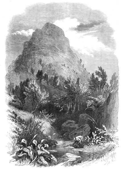 The Lion's Head Mountain, near Capetown, Cape of Good Hope, 1868. Creator: Unknown.