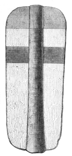 The Meyrick Collection at South Kensington: archer's shield, or 'pavois', Edward IV., 1869.  Creator: Unknown.