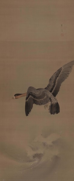 A goose in flight, 1900. Creator: Seitei (Shotei); Watanabe (1851-1918).