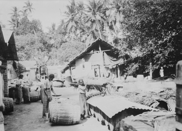 Java, shipping Plumbago, between c1915 and c1920. Creator: Bain News Service.