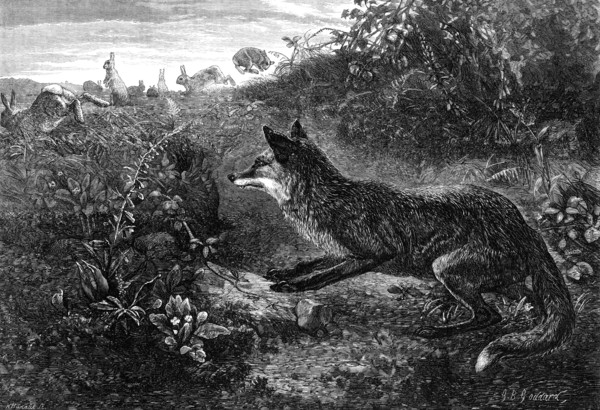 Gambols Disturbed, by G. B. Goddard, 1870. Creator: Horace Harral.