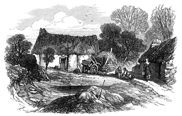 Sketches from Ireland: cabin at Clonfad, Westmeath, 1870. Creator: Unknown.