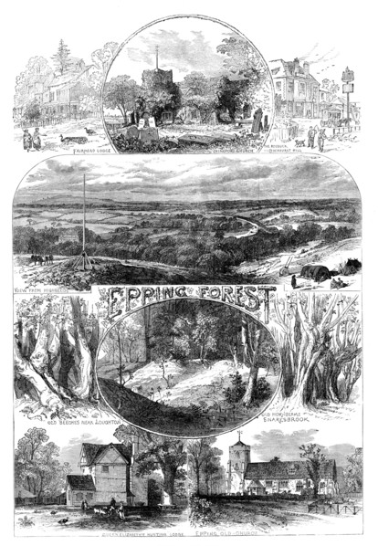 Sketches in Epping Forest, 1871. Creator: Unknown.