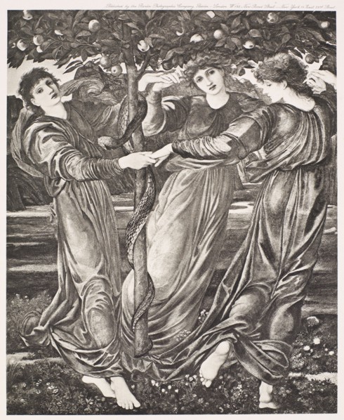 The Garden of the Hesperides, c1860s, (1900). Creator: Unknown.