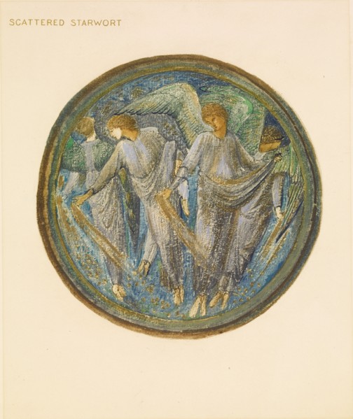 The Flower Book - Scattered Starwort, 1905. Creator: Sir Edward Coley Burne-Jones.