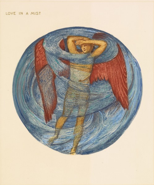 The Flower Book- Love in a Mist, 1905. Creator: Sir Edward Coley Burne-Jones.