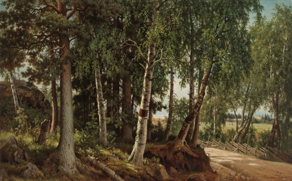 Forest Landscape from Haminalahti, 1880. Creator: Ferdinand von Wright.