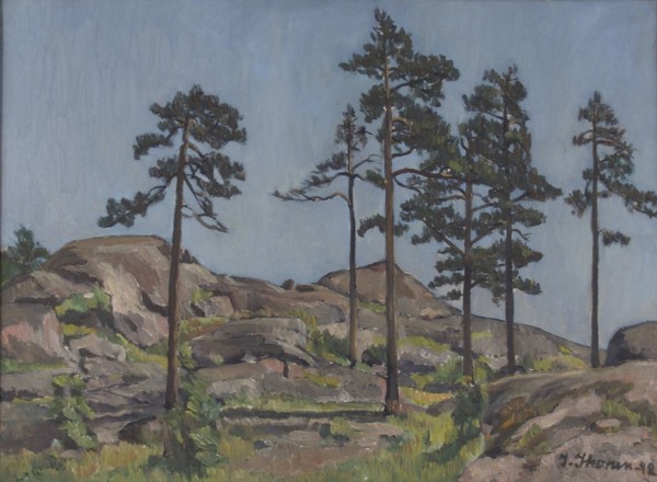 Pine trees on rocky ground, 1942. Creator: Ilmari Ikonen.