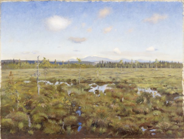 Landscape from Lapland, 1892. Creator: Torsten Wasastjerna.