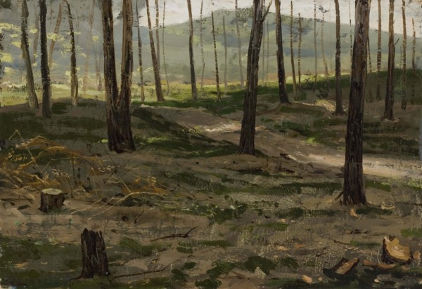 Landscape from Rath, 1880. Creator: Victor Westerholm.