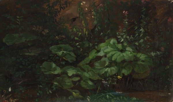 Plants, exercise, 1835-1853. Creator: Nils Jakob Blommer.