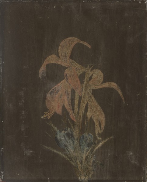 Lilja, 1846. Creator: Magnus von Wright.