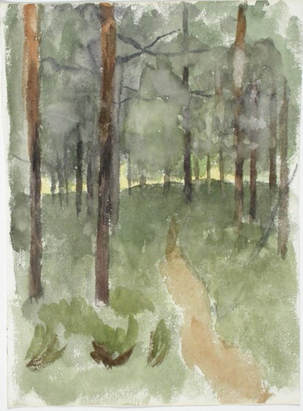 Forest path. Creator: Maria Wiik.