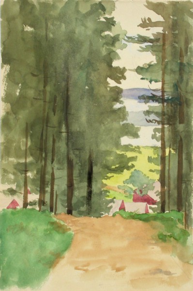 A road between conifers. Creator: Maria Wiik.