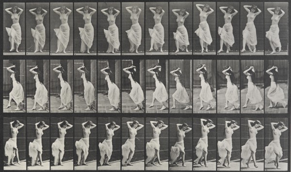 Animal Locomotion Plate 190, 1887. Creator: Muybridge, Eadweard (1830-1904).