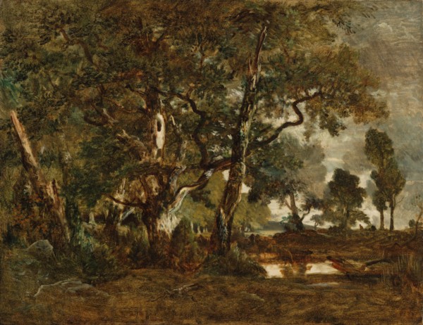 Forest of Fontainebleau, Cluster of Tall Trees Overlooking the Plain of Clair..., about 1849-1852. Creator: Theodore Rousseau.
