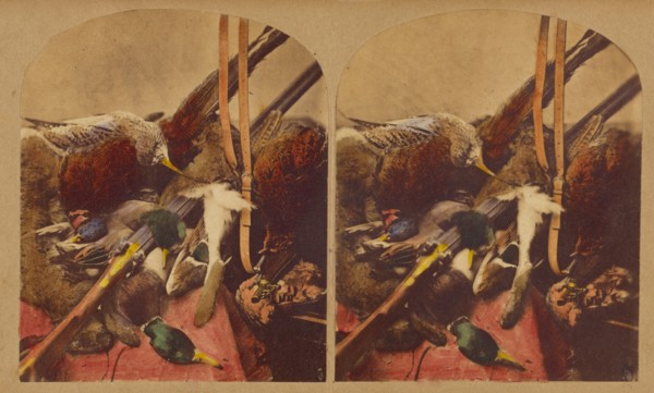 Still life with various dead fowl and rifle, about 1860. Creator: Joseph John Elliott.
