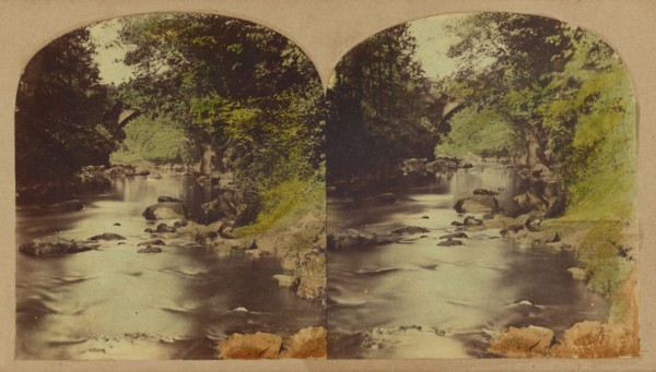 View in the Dargle, county Wicklow, Ireland., about 1860. Creator: London Stereoscopic & Photographic Co.