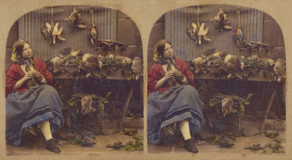 Young woman seated by table with dead fowl, rabbits, etc., about 1860. Creator: Unknown.