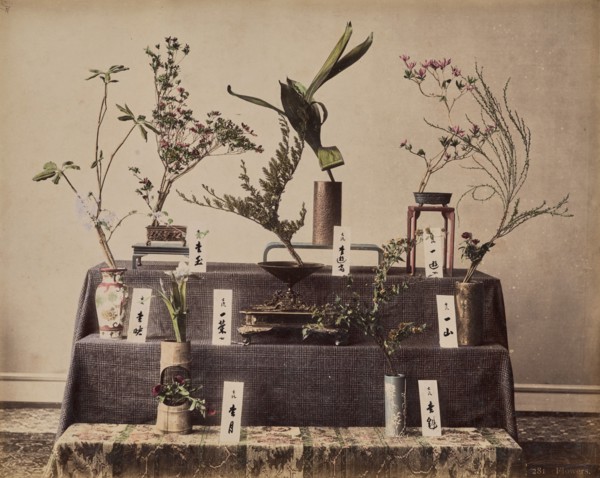 Flowers, about 1875-1890s. Creator: Unknown.