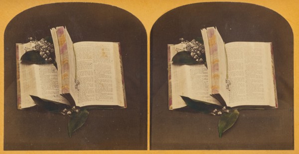 Book opened at two spots, one with book mark string, the other with flowers, about 1870-1880. Creator: Unknown.