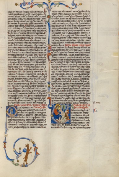 Initial V: Amos with His Herd; Abbey Bible, about 1250-1262. Creator: Unknown.
