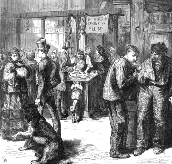 The market for dogs' and cats' flesh, Paris, (sketch by balloon post), 1871. Creator: Unknown.