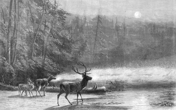 Lake Scene - Early Morning, by Mr. Wüst, 1871. Creator: William Hollidge.