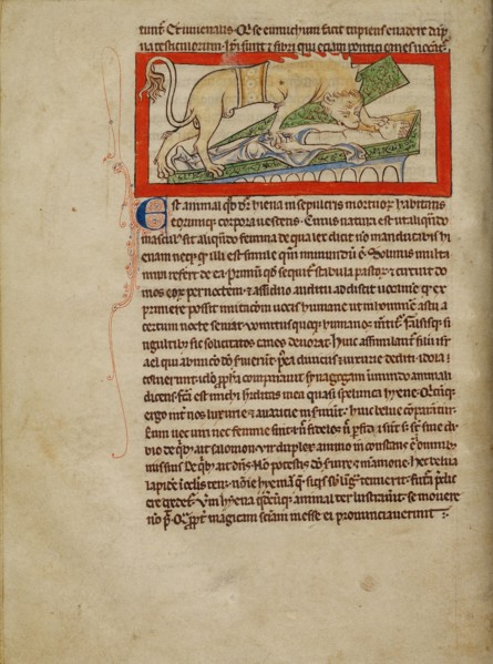 A Hyena; Northumberland Bestiary, about 1250-1260. Creator: Unknown.