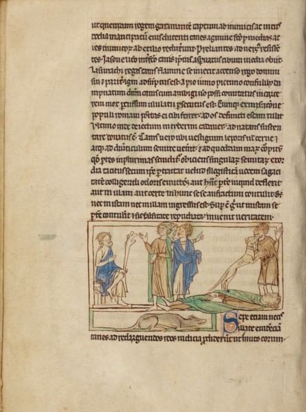 Dogs; Northumberland Bestiary, about 1250-1260. Creator: Unknown.