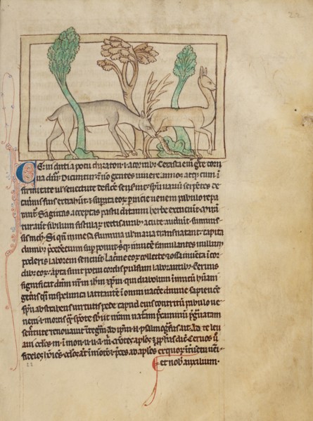 Deer; Northumberland Bestiary, about 1250-1260. Creator: Unknown.