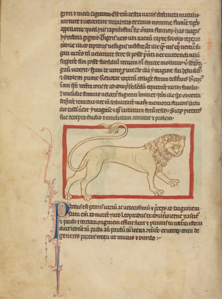 A Pard; Northumberland Bestiary, about 1250-1260. Creator: Unknown.