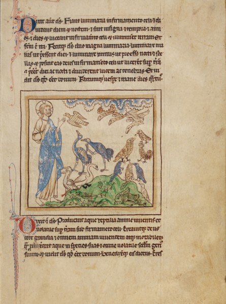 The Creation of the Birds and Fishes; Northumberland Bestiary, about 1250-1260. Creator: Unknown.