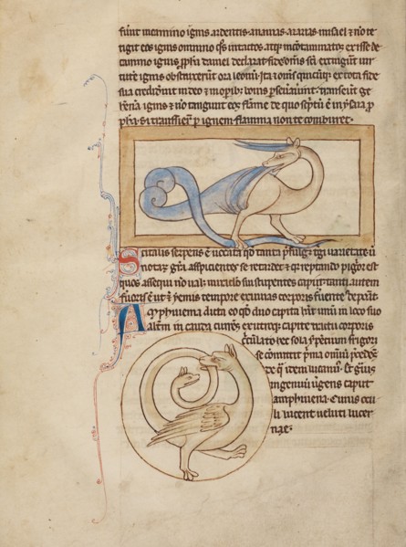 A Scitalis; An Amphisbaena; Northumberland Bestiary, about 1250-1260. Creator: Unknown.