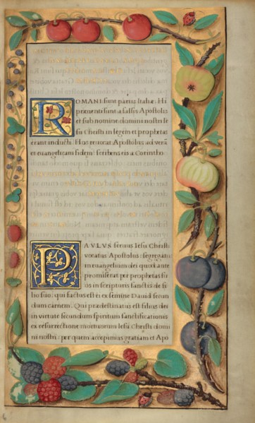 Decorated Text Page; Getty Epistles, about 1528-1530. Creator: Unknown.
