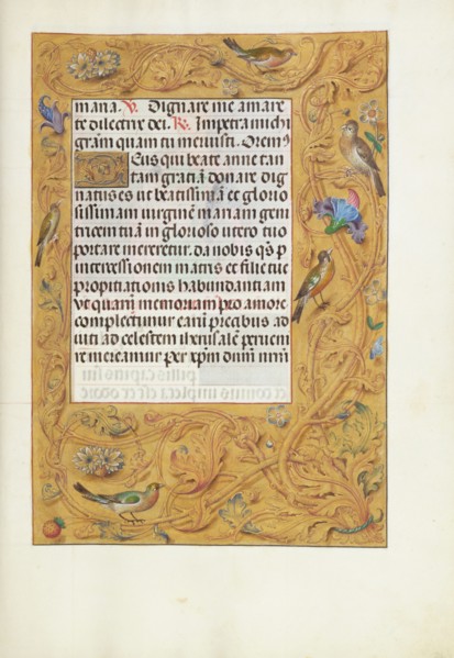 Decorated Text Page; Spinola Hours, about 1510-1520. Creator: Unknown.