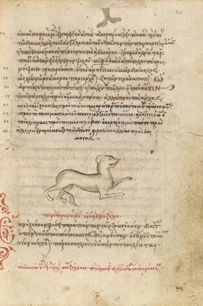 A Dog, 1510-1520. Creator: Unknown.