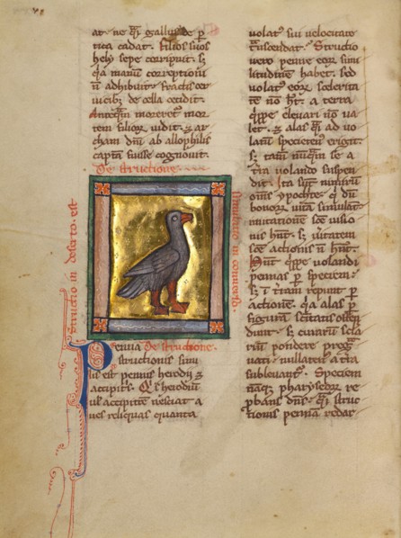An Ostrich; Bestiary, about 1270. Creator: Unknown.