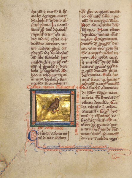 A Quail; Bestiary, about 1270. Creator: Unknown.